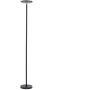 Paul Neuhaus HANS 11729-18 Golvlampa 1x27W/LED 3000k 2500lm ip20