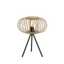 Paul Neuhaus RACOON 11435-79 Bordslampa 1x40W/E27 ip20