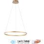 Paul Neuhaus RITUS 15394-60 Hängande lampa 1x31,5W/LED 3000k 3650lm ip20