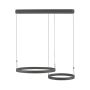 Paul Neuhaus ESKO 2360-18 Hängande lampa 2x41W/LED 2700K-5000K 1900lm IP20