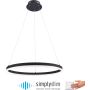Paul Neuhaus TITUS 2382-13 Hängande lampa 1x44W/LED ip20