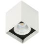 Italux Alden White Black 4000K SLC78002/12W 4000K WH+BL Ytmonterad downlight 1x12W/LED 4000K 1010lm IP20