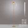 Paul Neuhaus BELLIS 19245-81 Golvlampa 1x2,5W/LED 3000k 240lm ip54