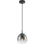 Italux Antita PND-3650-1S-BK-CSG Hängande lampa 1x40W/LED IP20