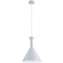 Alfa FERYT 61597 Hängande lampa 1x15W/E27