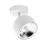 TK Lighting ALTEA 6512 Spotlampa 1x12W/AR 111GU10