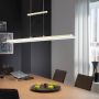 Fischer&Honsel Roof 60563 Hängande lampa 1x29W/LED 2700K 3300 lm IP20