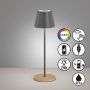 Fischer&Honsel Cosenza 850329 Bordslampa 2x2W/LED RGBW 270lm IP44
