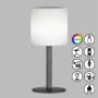 Fischer&Honsel Lesina 850325 Bordslampa 2x0.5W/LED RGBW 40lm IP44