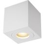 Zuma Line QUARDIP ACGU10-160 Ytmonterad downlight 1x50W/GU10 IP44