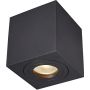Zuma Line QUARDIP ACGU10-161 Ytmonterad downlight 1x50W/GU10 IP44
