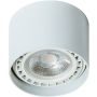AZzardo ECO ALIX SMART WIFI AZ3770 Ytmonterad downlight 1x11W/GU10/ES111 2700K-6500K 880LM IP20