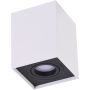 AZzardo ELOY SMART WIFI AZ3779 Ytmonterad downlight 1x5W/GU10 2700K-6500K 340LM IP20