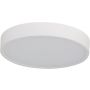 Azzardo PANDINO AZ6589 Taklampa 1x24w/led 2800k/4000k/6000k ip44