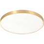 Zuma Line SIERRA CL12100009-GD Taklampa 1x60W/LED 4000K 4500LM IP20