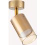 Zuma Line REN OB-2211BD-1-GLD Spotlampa 1x50W/GU10