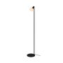 Zuma Line STEM R5021009A-1F Golvlampa 1x10W/E14 IP20