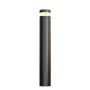 Maytoni Olten O591FL-L12GF3K1 Stående lampa 1x12W/LED 3000K 300lm IP65