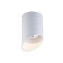 Zuma Line TUBY ACGU10-132 WHITE Spotlampa 1x50W/Gu10 IP20