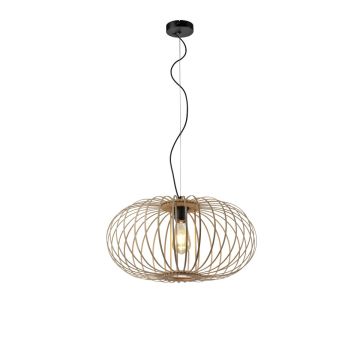 Paul Neuhaus RACOON 11409-79 Hängande lampa 1x60W/E27 IP20