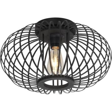 Paul Neuhaus RACOON 11410-18 Taklampa 5x40W/E27 ip20