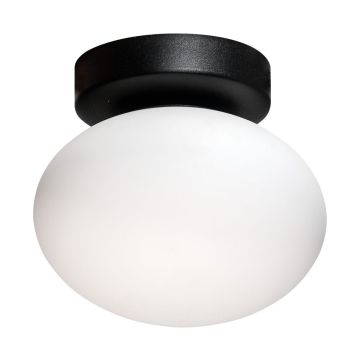 Zuma Line OMI 1188 Taklampa 1x5W/G9 IP20
