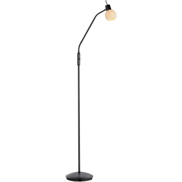 Paul Neuhaus LOKI 12157-18 Golvlampa 1x5W/E14 ip20