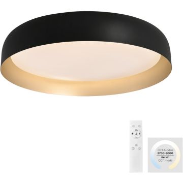 Paul Neuhaus OSKO 14216-18 Taklampa 1x40W/LED 2700-5000k 3850lm ip20