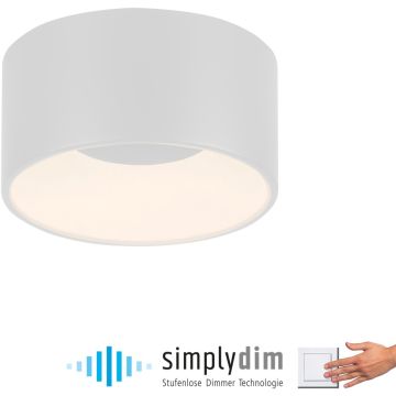 Paul Neuhaus TANIKA 14325-16 Taklampa 1x14W/LED 3000k 1500lm ip20
