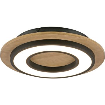 Paul Neuhaus TOLA 14560-18 Taklampa 1x18W/LED 3000k 2200lm ip20