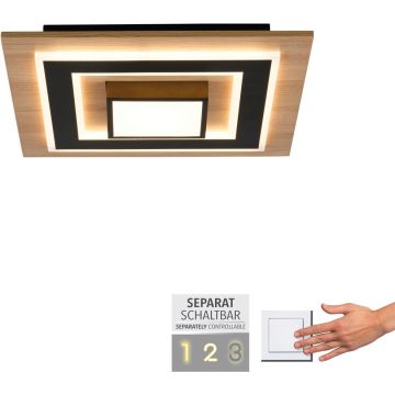 Paul Neuhaus TOLA 14563-18 Taklampa 1x30W/LED 3000k 3200lm ip20