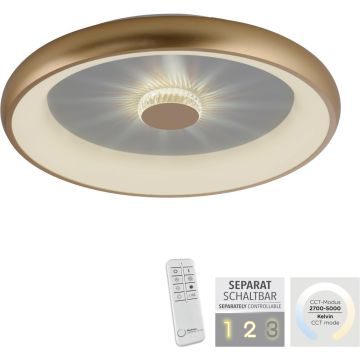 Paul Neuhaus VERTIGO 14386-60 Taklampa 1x37W/LED 2700-5000k 1850lm ip20