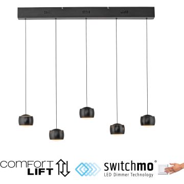 Paul Neuhaus BALLINI 15262-18 Hängande lampa 5x30W/LED 3000k 4000lm ip20