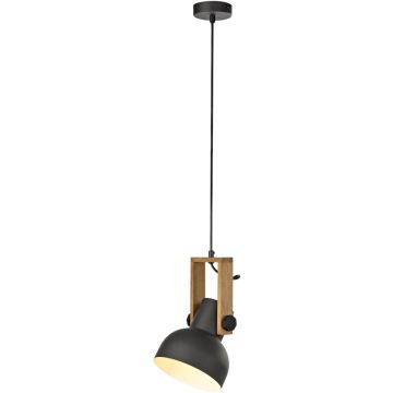 Paul Neuhaus CUP 2.0 15741-18 Hängande lampa 1x60W/E27 ip20
