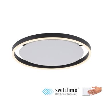 Paul Neuhaus RITUS 15391-13 Taklampa 1x20W/LED 3000K 800LM IP20