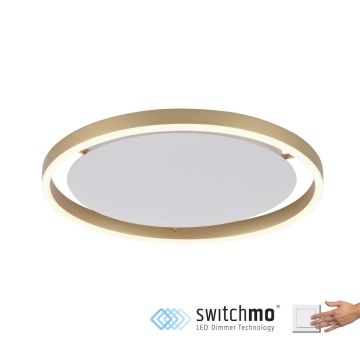 Paul Neuhaus RITUS 15391-60 Taklampa 1x20W/LED 3000K 1060LM IP20