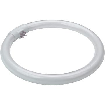 Prezent OTHERS BULBS 17007 TUBE Glödlampa 28w/t5