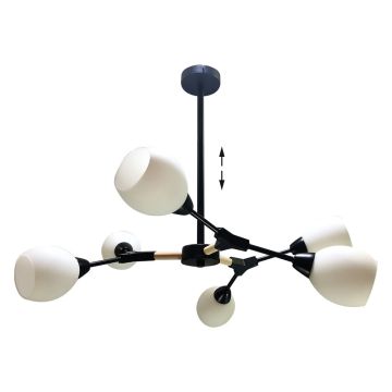 Prezent CITTERIO 18300 Taklampa 6x40W/E14 IP20