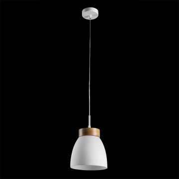 Prezent FOCUS 18068 Hängande lampa 1x40W/E27 IP20