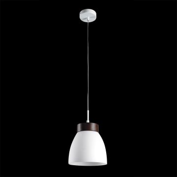 Prezent FOCUS 18069 Hängande lampa 1x40W/E27 IP20
