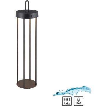 Paul Neuhaus ANSELM 19301-18 Bordslampa 1x1,5W/LED 2700k 130lm ip44