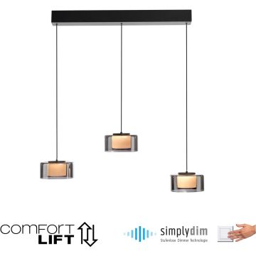 Paul Neuhaus RIKA 2113-18 Hängande lampa 3x20W/LED 3000k 2850lm ip20