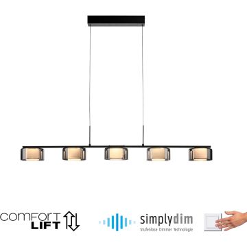 Paul Neuhaus RIKA 2116-18 Hängande lampa 5x42W/LED 3000k 5000lm ip20