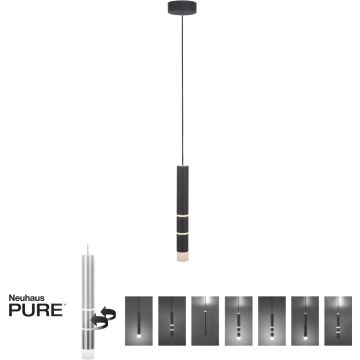 Paul Neuhaus PURE-VEGA 2211-18 Hängande lampa 4x4,5W/LED 2700-5000k 440lm ip20