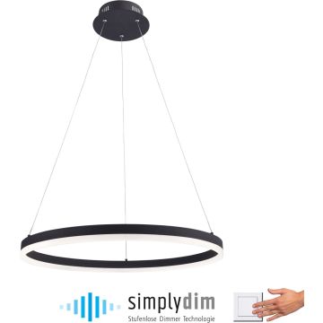 Paul Neuhaus TITUS 2382-13 Hängande lampa 1x44W/LED ip20