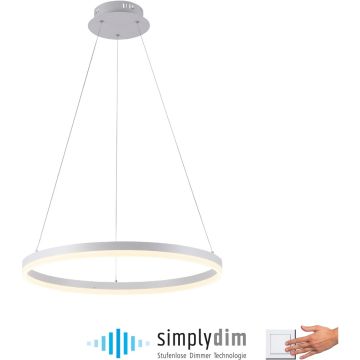 Paul Neuhaus TITUS 2382-16 Hängande lampa 1x44W/LED 3000k 5250lm ip20