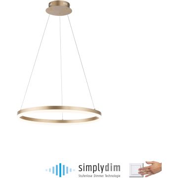 Paul Neuhaus TITUS 2382-60 Hängande lampa 1x44W/LED 3000k 5250lm ip20