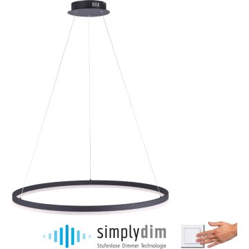 Paul Neuhaus TITUS 2383-13 Hängande lampa 1x61W/LED ip20