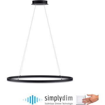 Paul Neuhaus TITUS 2392-13 Hängande lampa 1x38W/LED 3000k 1800lm ip20