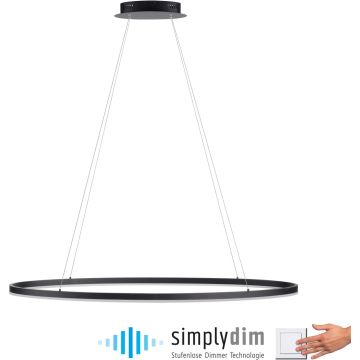 Paul Neuhaus TITUS 2393-13 Hängande lampa 1x57,5W/LED 3000k 2700lm ip20